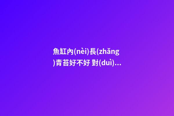 魚缸內(nèi)長(zhǎng)青苔好不好 對(duì)風(fēng)水是否會(huì)有影響